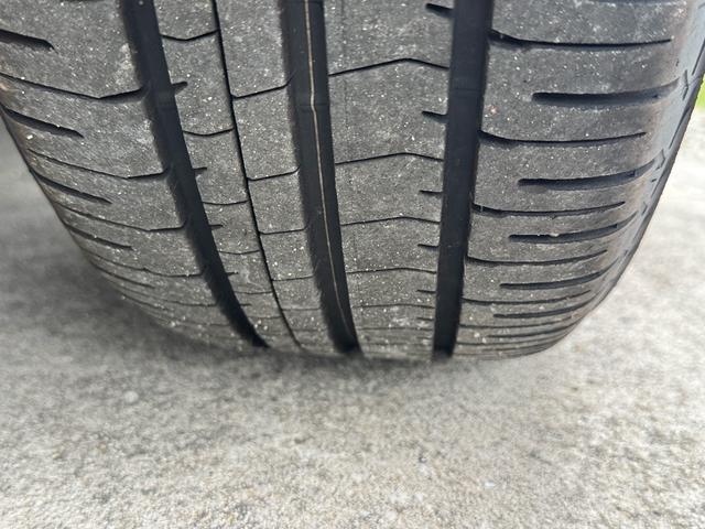 NISSAN LEAF X(30KWH)