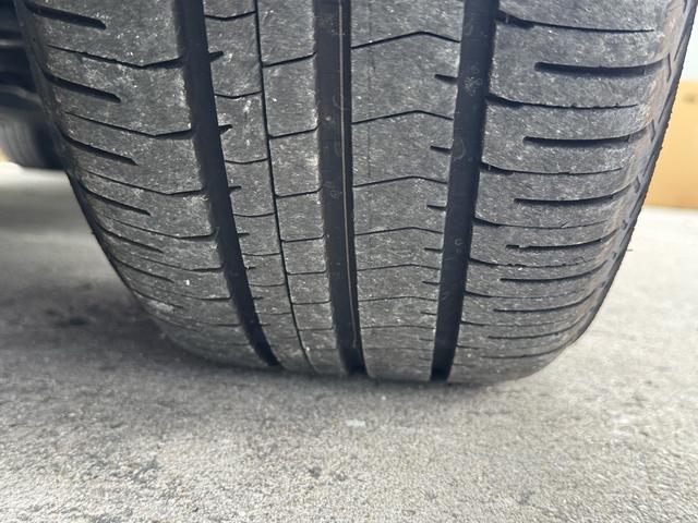 NISSAN LEAF X(30KWH)