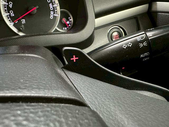 スイフト RS 社外ナビ・フルセグ・社外17インチアルミ・オートエアコン・HIDヘッドライト・ETC・スマートキー・プッシュスタート・バックモニター・純正エアロ・クルーズコントロール・革巻きステアリング・パドルシフト(49枚目)