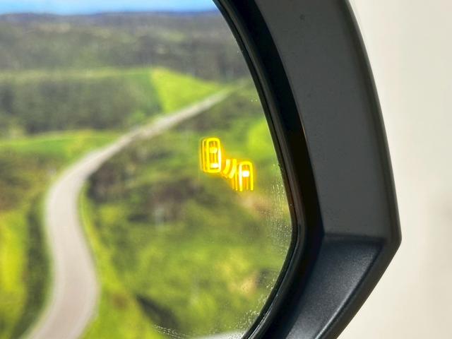 アルファード 2.5S Cパッケージ 社外20インチアルミホイル・社外エアロパーツ・ブラインドスポットモニター・純正ディスプレイオーディオ・純正デジタルインナーミラー・両側パワースライドドア・シートベンチレーション・スマートキー・ETC(57枚目)