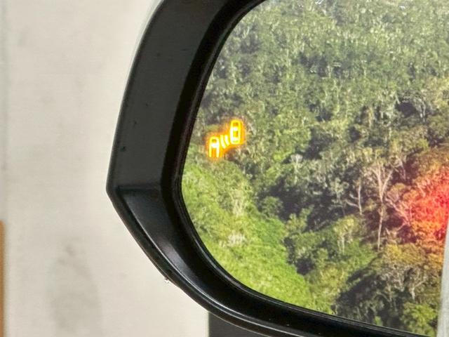 アルファード 2.5S Cパッケージ 社外20インチアルミホイル・社外エアロパーツ・ブラインドスポットモニター・純正ディスプレイオーディオ・純正デジタルインナーミラー・両側パワースライドドア・シートベンチレーション・スマートキー・ETC(58枚目)