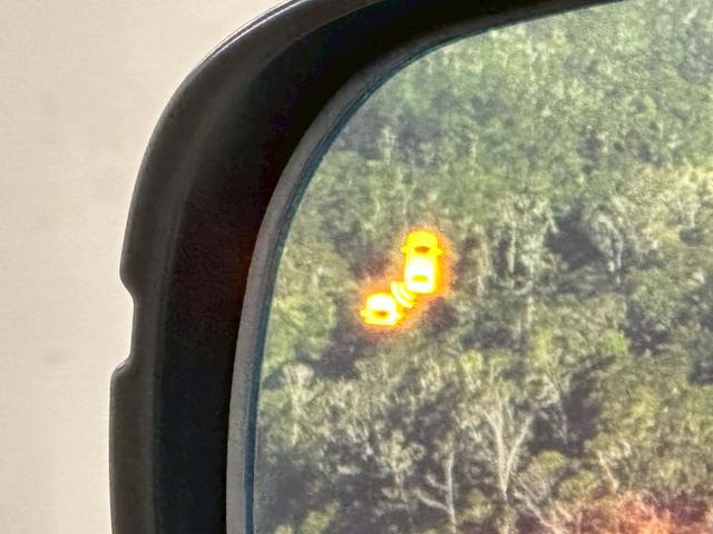 オデッセイ アブソルート・ＥＸ　純正ナビ・フルセグ対応・ブラインドスポットモニター・両側パワースライドドア・ハーフレザーシート・パワーシート・全方位モニター・ＥＴＣ・純正アルミ・ＢＴ対応・ＬＥＤヘッドライト・ステアリングスイッチ（46枚目）