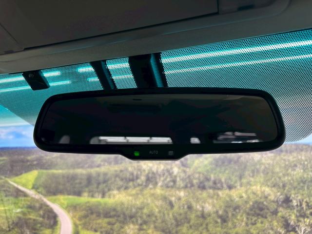 ヴェルファイア ２．４Ｚ　ゴールデンアイズ　アルパイン９インチナビ・アルパインフリップダウンモニター・両側パワースライドドア・バックモニター・コーナーセンサー・パワーバックゲート・クルーズコントロール・ＨＩＤヘッドライト・ＥＴＣ・純正１８インチ（65枚目）