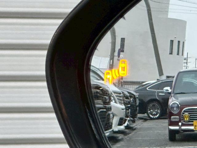 プリウス Ａツーリングセレクション　モデリスタフルエアロ・純正ナビ・ドライブレコーダー・フルセグ・バックモニター・シートヒーター・ＥＴＣ・純正アルミ・クルーズコントロール・ＢＳＭ・クリアランスソナー・ＬＥＤヘッドライト・トヨタセーフティ（48枚目）