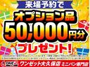 アエラス　プレミアム－Ｇ　モデリスタエアロ・純正９インチナビ・フルセグ・フリップダウンモニター・バックモニター・ＢＴ対応・両側パワースライドドア・クルーズコントロール・ドライブレコーダー・車線逸脱警報・ウッドコンビハ・ＥＴＣ（40枚目）