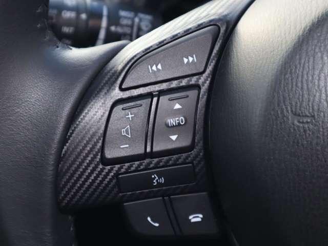 デミオ 1.3 13S ツーリング 衝突被害軽減ブレーキ バックカメラ 運転席(10枚目)