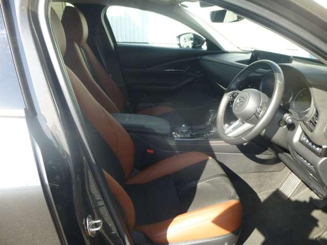 CX-30 レトロスポーツエディション(13枚目)