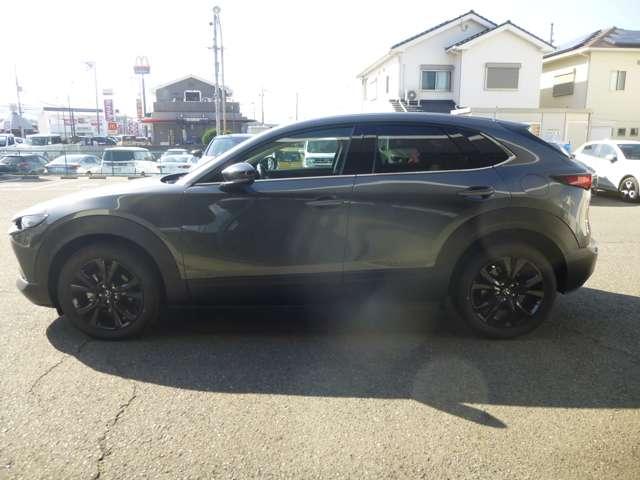 CX-30 レトロスポーツエディション(18枚目)