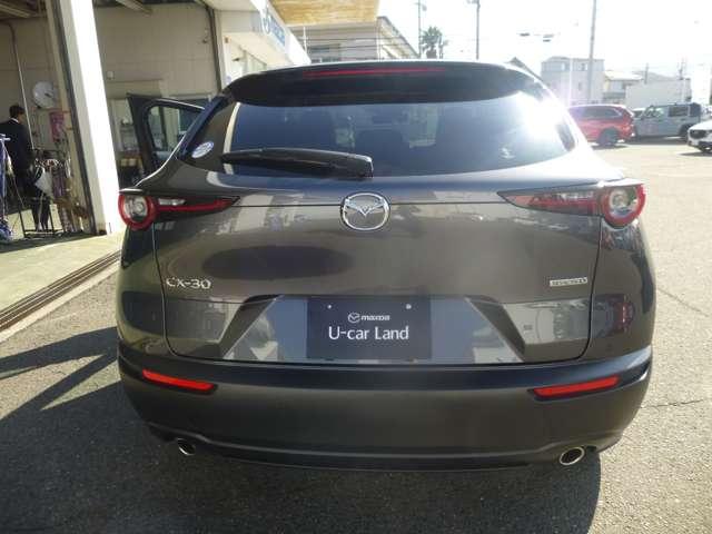 CX-30 レトロスポーツエディション(19枚目)