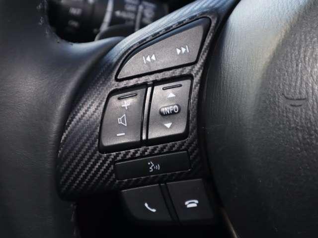 ＣＸ－３ １．５　ＸＤ　ツーリング　ディーゼルターボ　衝突被害軽減ブレーキ　バックカメラ　スマー（11枚目）