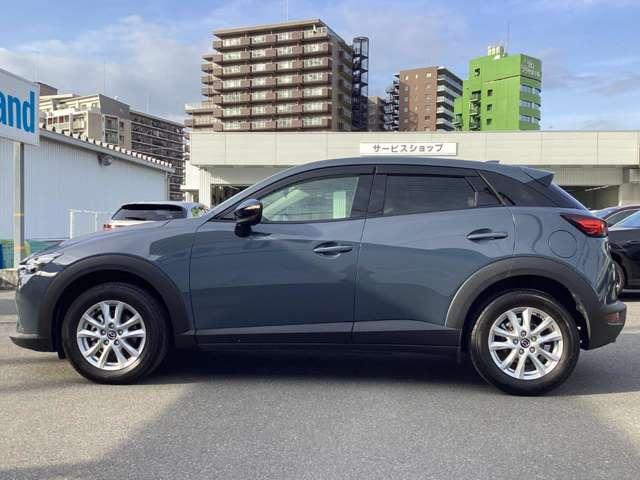 �����A���~�őS�̓I�Ƀf�U�C�����܂Ƃ܂��Ă��܂��B�Ԃ��l���A�I�V�����͂܂��͑�������ł��ˁB