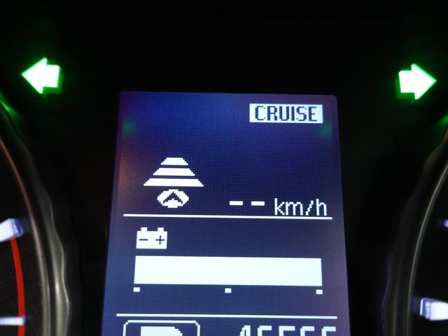 ディグニティ ＶＩＰ　電動サンルーフ　本革シート　ＢＯＳＥサウンドシステム　後席読書灯　リヤドアサンシェード　リヤバニティミラー　銀粉木目調オーナメントパネル（43枚目）