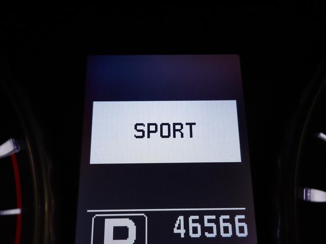 ディグニティ ＶＩＰ　電動サンルーフ　本革シート　ＢＯＳＥサウンドシステム　後席読書灯　リヤドアサンシェード　リヤバニティミラー　銀粉木目調オーナメントパネル（54枚目）