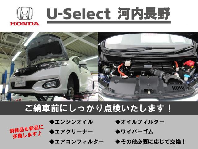 フィット ＲＳ　元試乗車　純正Ｄオーディオ　ドラレコ　Ｒカメラ　ＥＴＣ　ホンダセンシング（41枚目）