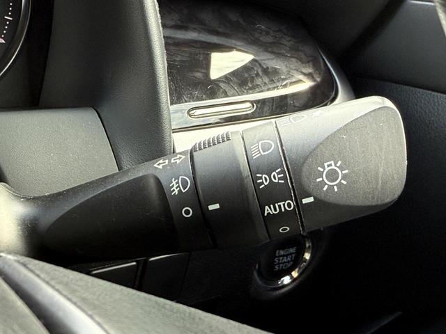 アルファード ２．５Ｓ　タイプゴールド　コーティング済　ディスプレイオーディオ　ａｐｐｌｅｃａｒｐｌａｙ　バックカメラ　フリップダウンモニター　両側電動スライドドア　レーダークルーズコントロール　ブレーキホールド　パワーリアゲート（54枚目）