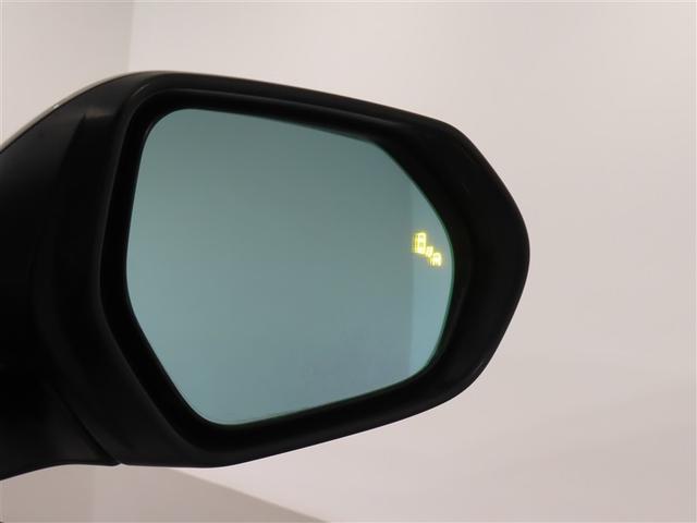 �u���C���h�X�|�b�g���j�^�[�i�a�r�l�j