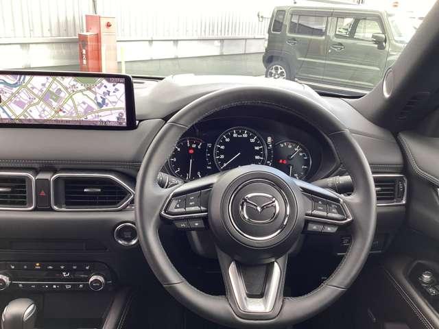 ���[�_�[�N���[�Y�R���g���[�����ځ@�����O�h���C�u�����y���ݒ����܂��I