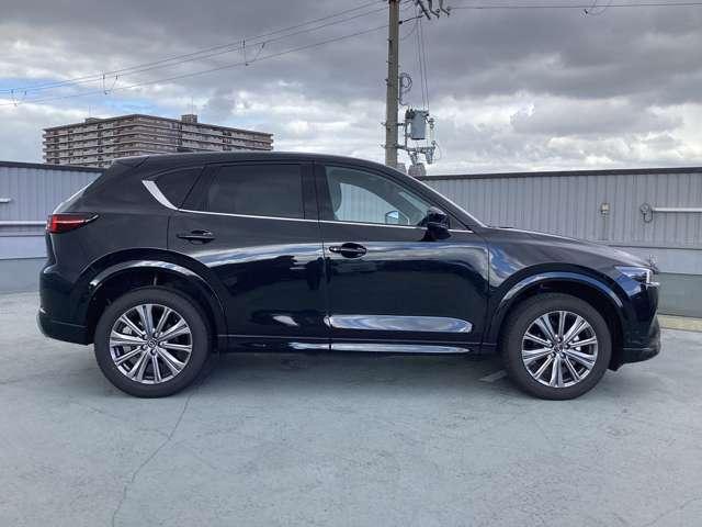 �O���͖ڗ������傫�ȃL�Y�≚�݂Ȃǂ͂Ȃ��S�̓I�ɗǍD�ȏ�Ԃł��������X�̏�A�m�F����������