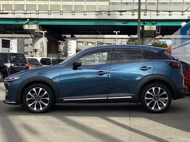 �����A���~�őS�̓I�Ƀf�U�C�����܂Ƃ܂��Ă��܂��B�Ԃ��l���A�I�V�����͂܂��͑�������ł��ˁB