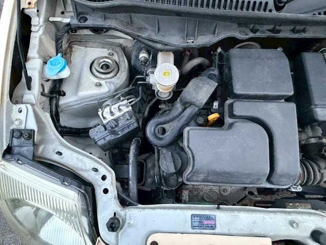 ピノ Ｅ（62枚目）