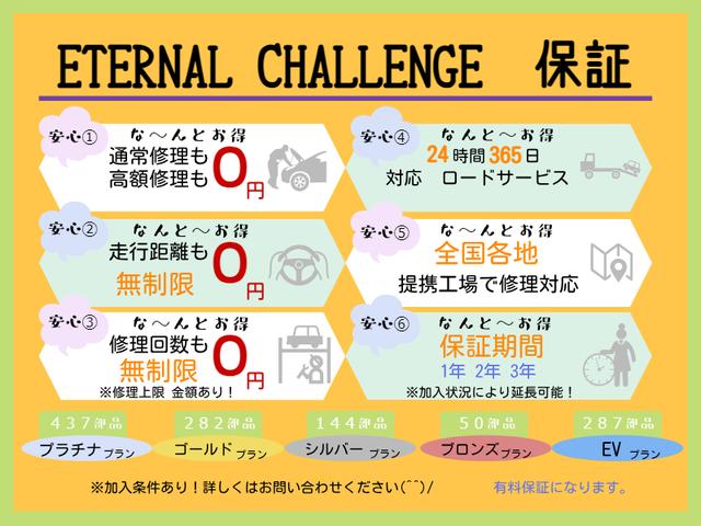 ピノ Ｅ（67枚目）