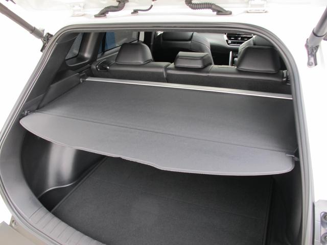 カローラクロス ハイブリッド　Ｚ　パノラマガラスルーフ・１０．５インチディスプレイオーディオ（ナビ、ＴＶ有）・全周囲・アドバンスパーク・ＢＳＭ・パワーバックドア・ルーフレール・ＥＴＣ２．０・スマートキー２個・シートヒーター・１オーナー（49枚目）