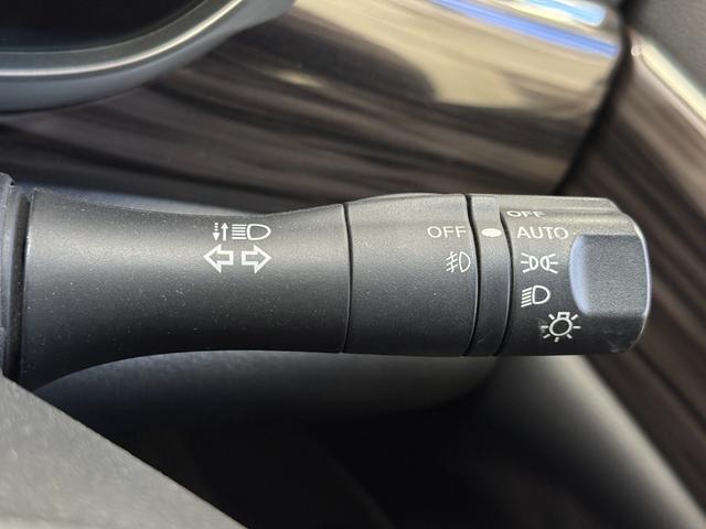 エルグランド 250ハイウェイスターS 両側パワースライドドア クルーズコントロール 社外ナビ フルセグTV フリップダウンモニター バックカメラ ハーフレザーシート ビルトインETC(25枚目)