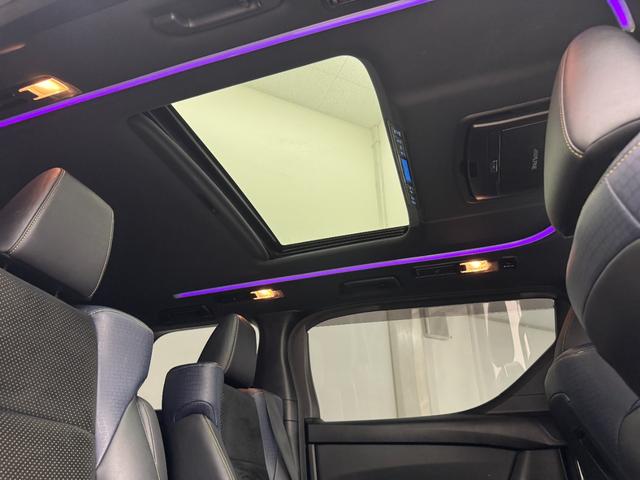 ヴェルファイア 2.5Z Aエディション ゴールデンアイズ サンルーフ モデリスタスポイラー フリップダウンモニター ALPINEナビ/TV/バックカメラ/クルーズコントロール 障害物センサー ウォークスルー ETC(27枚目)