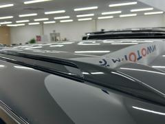 �����ȥ������Уȣţ� �֥�å����ǥ�����󡡥��������ڥ󥷥�󡡥���롼�ա������ʥӡ��ե륻���ԣ� 0704780A30251217W001 4