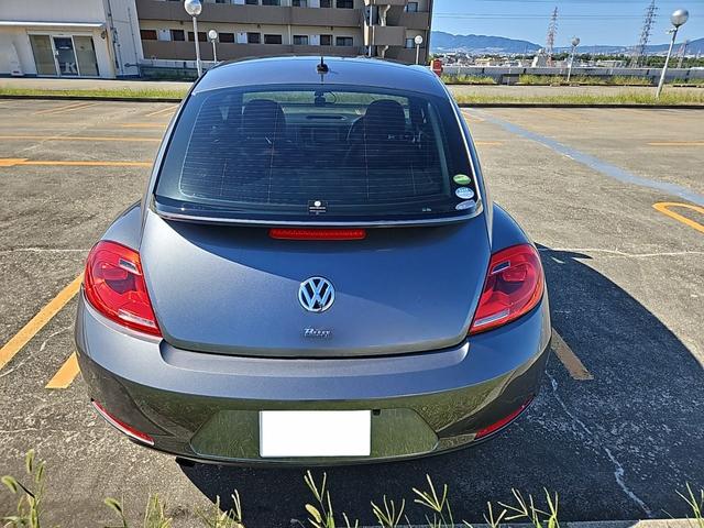 ザ・ビートル スペシャル・バグ（5枚目）