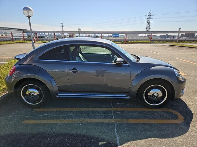 ザ・ビートル スペシャル・バグ（6枚目）