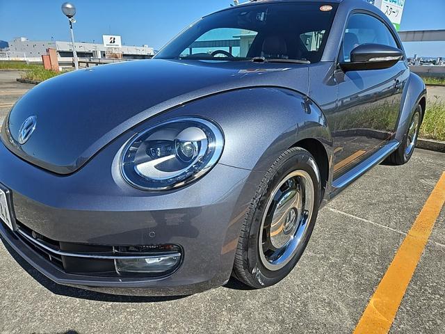 ザ・ビートル スペシャル・バグ（9枚目）