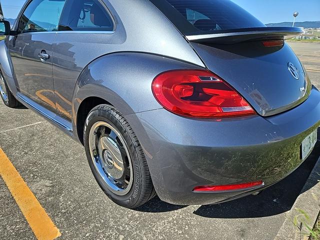 ザ・ビートル スペシャル・バグ（11枚目）