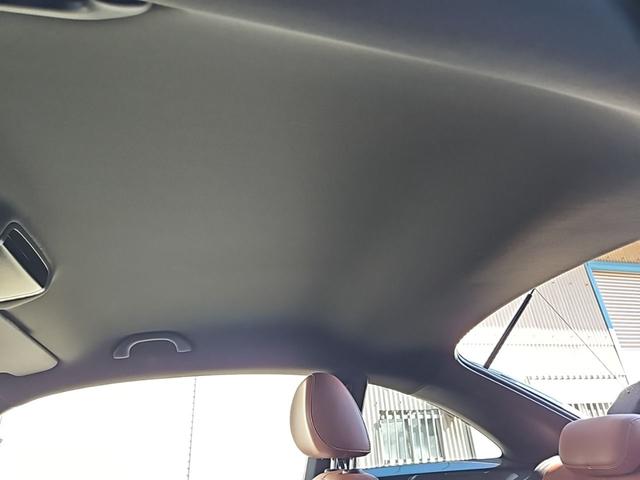 ザ・ビートル スペシャル・バグ（12枚目）