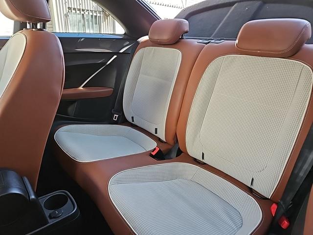 ザ・ビートル スペシャル・バグ（14枚目）