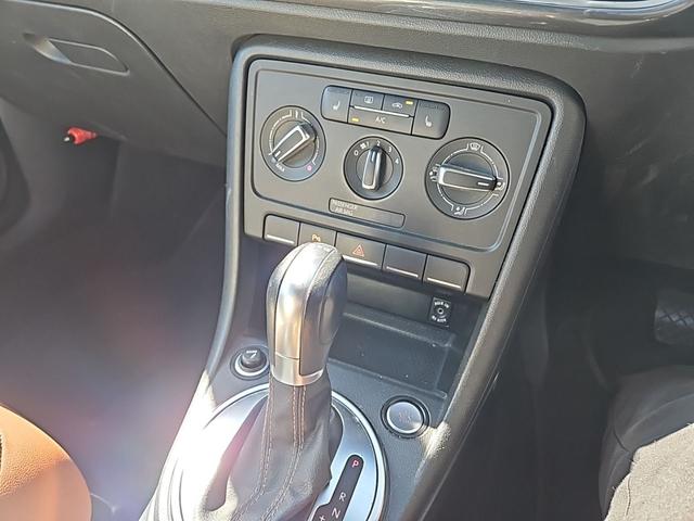 ザ・ビートル スペシャル・バグ（17枚目）