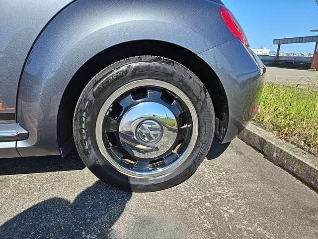 ザ・ビートル スペシャル・バグ（22枚目）