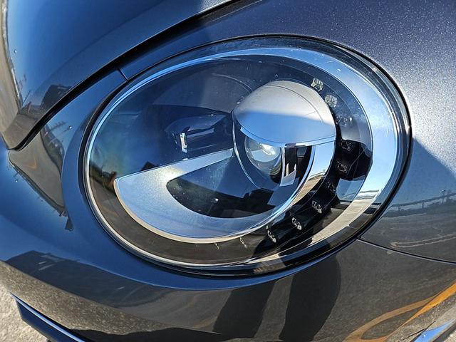 ザ・ビートル スペシャル・バグ（23枚目）