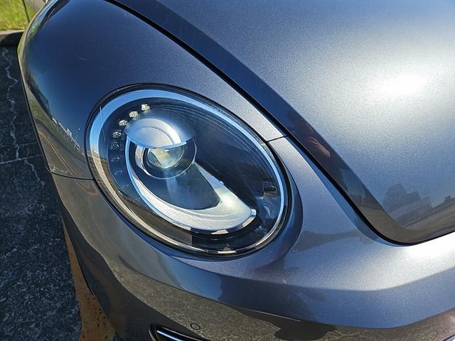 ザ・ビートル スペシャル・バグ（24枚目）