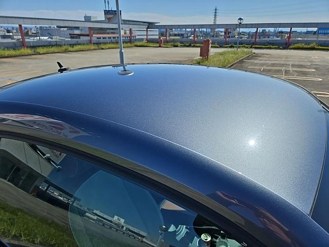 ザ・ビートル スペシャル・バグ（25枚目）