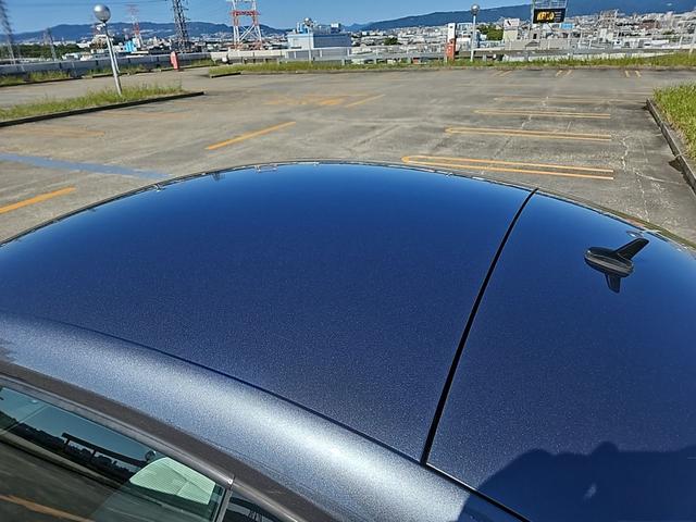 ザ・ビートル スペシャル・バグ（26枚目）