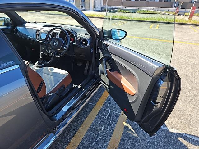 ザ・ビートル スペシャル・バグ（29枚目）