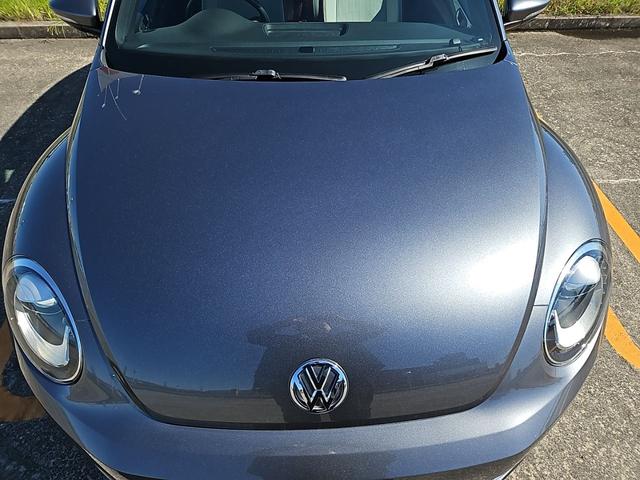 ザ・ビートル スペシャル・バグ（30枚目）