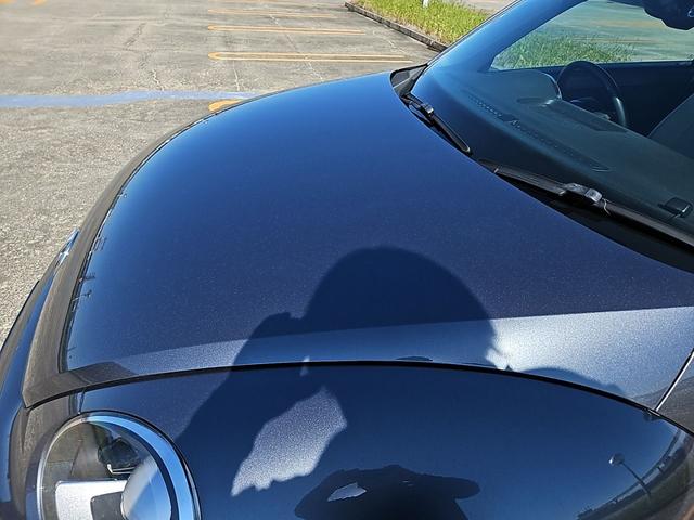 ザ・ビートル スペシャル・バグ（31枚目）