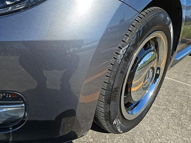 ザ・ビートル スペシャル・バグ（36枚目）