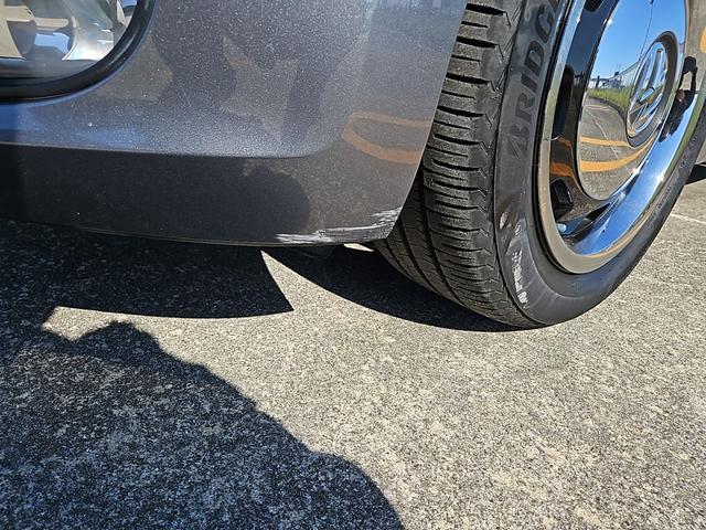 ザ・ビートル スペシャル・バグ（37枚目）