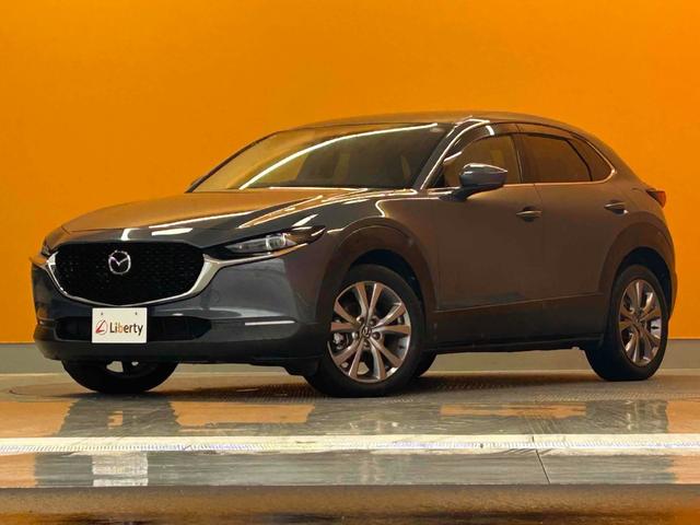 ＣＸ－３０ ２０Ｓ　プロアクティブ　ツーリングセレクション　ＥＴＣ　バックカメラ　クリアランスソナー　オートクルーズコントロール　レーンアシスト　パワーシート　衝突被害軽減システム　ナビ　オートマチックハイビーム　オートライト（15枚目）