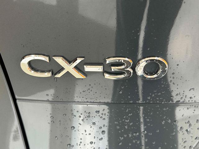 ＣＸ－３０ ２０Ｓ　プロアクティブ　ツーリングセレクション　ＥＴＣ　バックカメラ　クリアランスソナー　オートクルーズコントロール　レーンアシスト　パワーシート　衝突被害軽減システム　ナビ　オートマチックハイビーム　オートライト（33枚目）