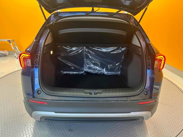 ＷＲ－Ｖ Ｚ＋　ブラックスタイル　バックカメラ　クリアランスソナー　オートクルーズコントロール　レーンアシスト　衝突被害軽減システム　ＬＥＤヘッドランプ　アルミホイール　スマートキー　電動格納ミラー　ＣＶＴ　盗難防止システム　ＡＢＳ（32枚目）