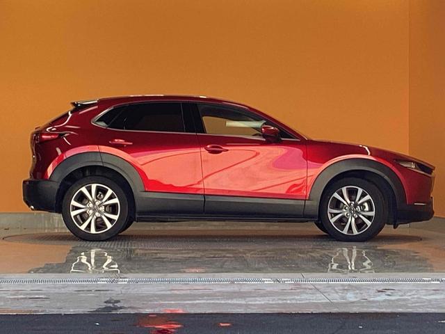 ���̓x�͓��X�̂��Ԃ������ɂȂ��Ă��������A���ɂ��肪�Ƃ��������܂��B�������茻�Ԋm�F���Ē�����悤�A��������v���܂��I